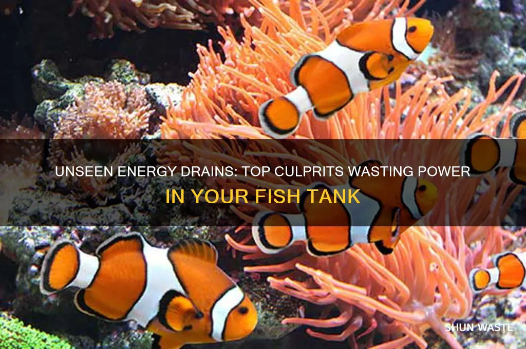 what is wasting most energy in fish tank