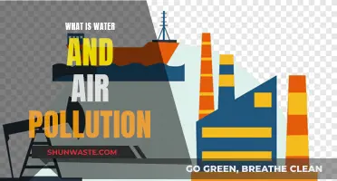 Understanding Water and Air Pollution: Causes and Effects