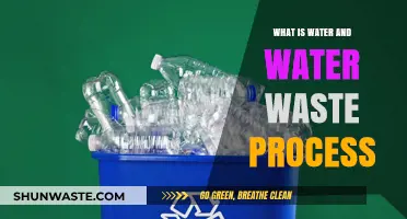 Understanding Water: Composition, Waste Management, and Recycling Processes