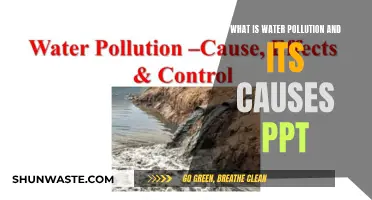 Understanding Water Pollution: Causes and Impact