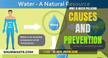 Unveiling Water's Dark Secret: Causes, Impact, and Prevention