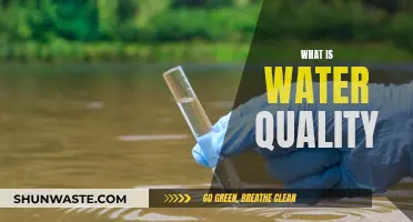 Understanding Water Quality: A Comprehensive Guide