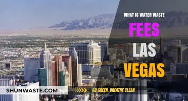 Understanding Las Vegas Water Waste Fees: Costs, Regulations, and Savings Tips
