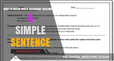 Understanding Water Waste Secondary Treatment: A Simple Explanation