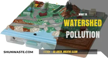 Watershed Pollution: Understanding Its Impact and Causes