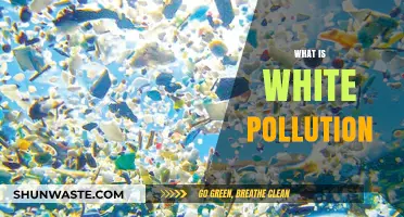 Understanding White Pollution: A Global Crisis