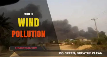 Wind Pollution: A Silent Environmental Threat