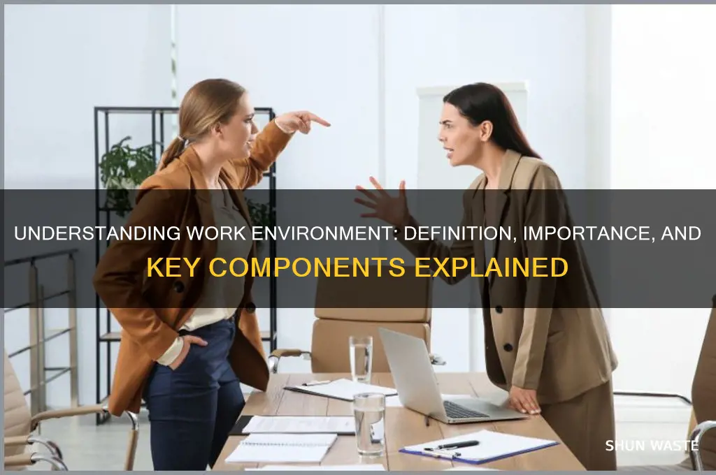 what is work environment definition