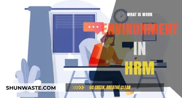 Understanding the Role of Work Environment in Effective HR Management