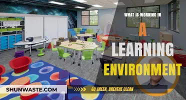 Creating Effective Learning Environments: Strategies for Success and Engagement