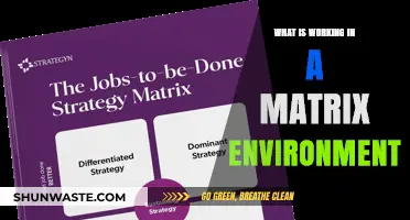 Navigating a Matrix Environment: Strategies for Effective Collaboration and Success