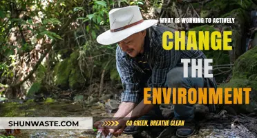 Sustainable Solutions: Effective Strategies Transforming Our Environment Today
