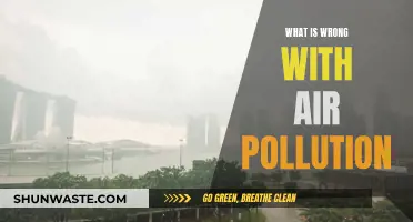 Air Pollution: A Deadly Crisis