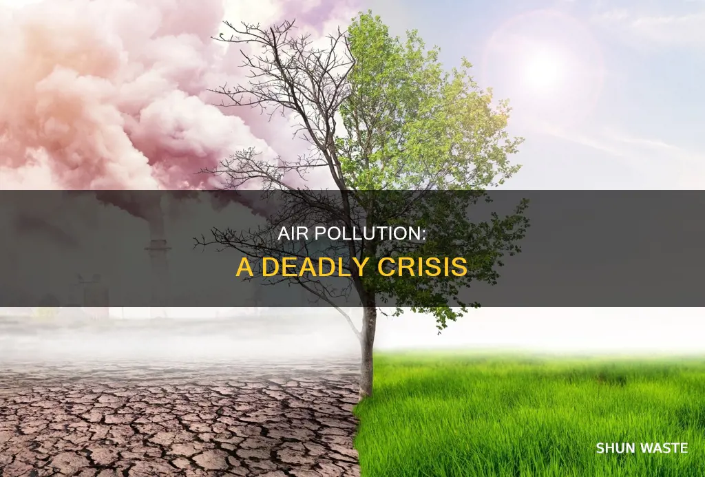 what is wrong with air pollution