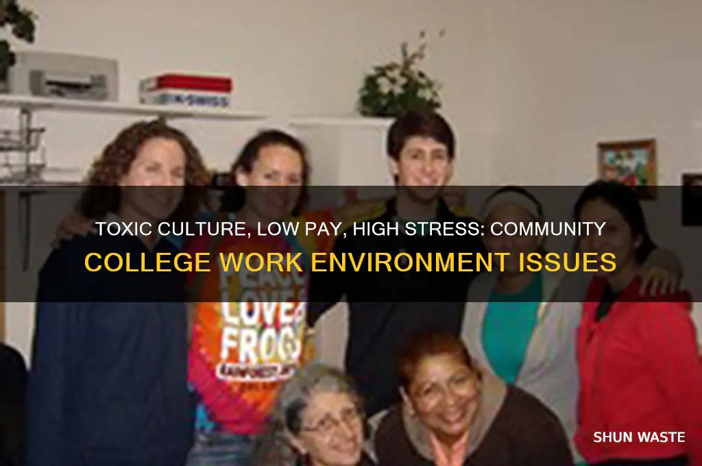 what is wrong with community college work environment