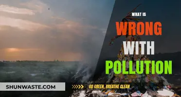 Pollution's Harmful Effects on Our Planet and Health