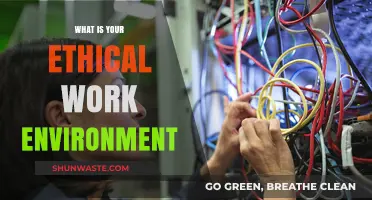 Cultivating Integrity: Defining Your Ethical Work Environment and Values