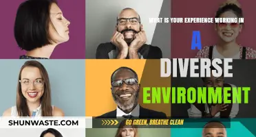 Embracing Diversity: My Journey in a Multicultural Workplace Experience