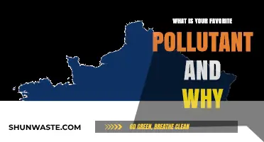 The Allure of Pollutants: Why I Love Carbon Monoxide