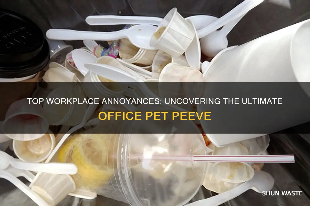 what is your greatest pet peeve in a work environment