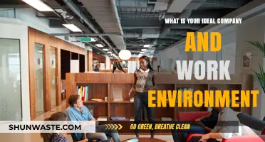 Crafting Your Dream Workplace: Ideal Company and Environment Insights