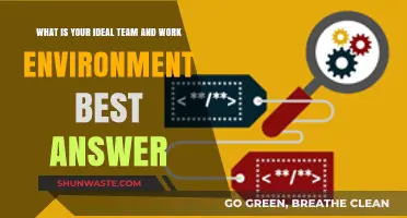 Crafting the Perfect Team and Work Environment for Success