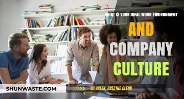 Crafting Your Perfect Work Environment and Company Culture