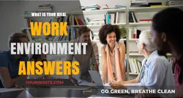 Crafting Your Perfect Workspace: Ideal Work Environment Insights