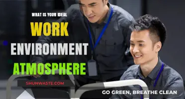 Crafting Your Ideal Work Environment: Atmosphere Essentials for Peak Productivity