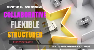 Crafting Your Ideal Work Environment: Collaborative, Flexible, or Structured?