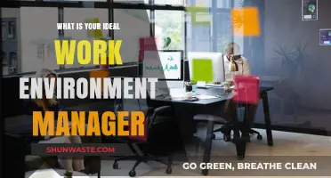 Crafting Your Ideal Work Environment: A Manager's Guide to Success