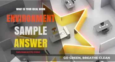 Crafting Your Ideal Work Environment: A Sample Answer for Success