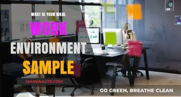 Crafting Your Perfect Work Environment: Tips for Ideal Productivity