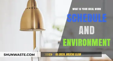 Crafting Your Perfect Work Schedule and Ideal Environment for Success