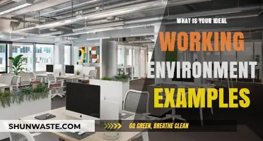 Crafting Your Perfect Workspace: Ideal Working Environment Examples
