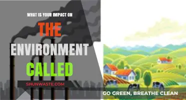 Understanding Your Environmental Footprint: What's Your Impact Called?