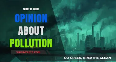 Pollution's Impact: My Personal Perspective