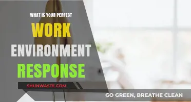 Crafting Your Ideal Workspace: Discover Your Perfect Work Environment