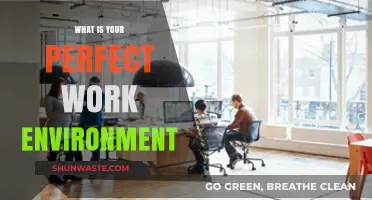 Crafting Your Ideal Workspace: Discovering the Perfect Work Environment
