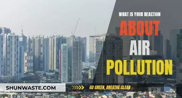 Air Pollution: My Reaction and Thoughts