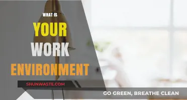 Crafting Productivity: Understanding Your Ideal Work Environment for Success
