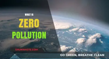 Creating a Sustainable Future: Zero Pollution