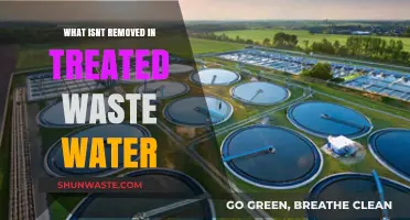 Treated Wastewater Secrets: What Remains After Purification Processes?