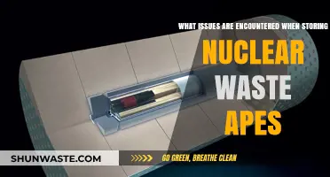 Challenges in Storing Nuclear Waste: Environmental and Safety Concerns