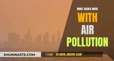 Air Pollution: Problems and Health Hazards