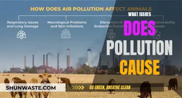 Unveiling the Environmental Impact: Pollution's Devastating Effects