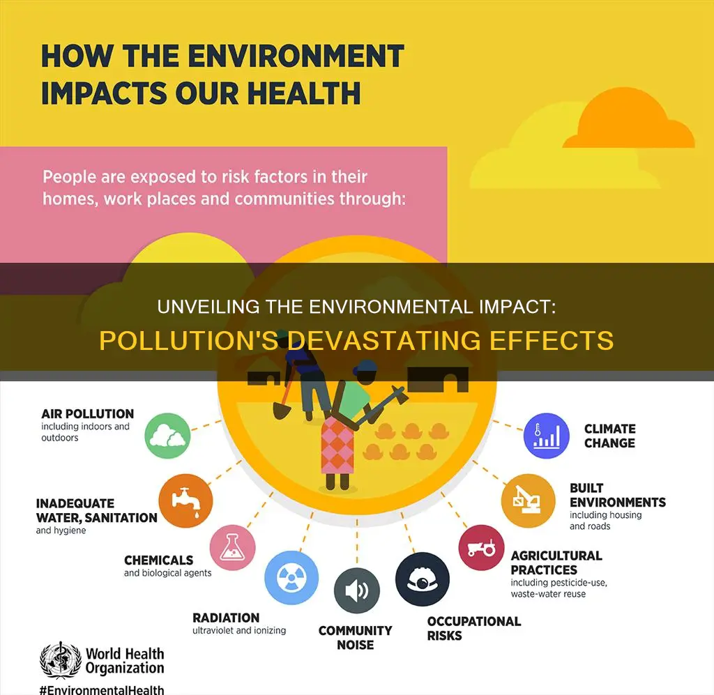 what issues does pollution cause