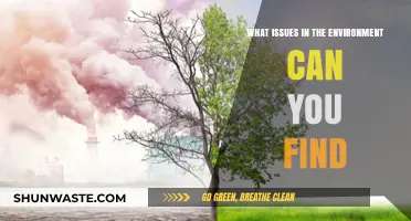 Exploring Critical Environmental Issues: Pollution, Climate Change, and Biodiversity Loss