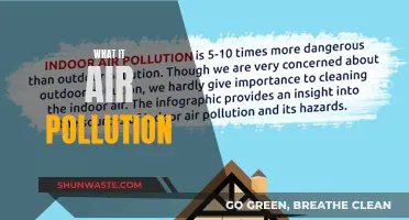 Air Pollution: Understanding the Toxic Air We Breathe