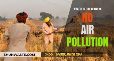 Breathing Easy: Life Without Air Pollution